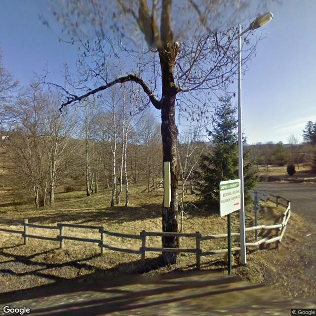 UN CHALET composée aurez de chaussez : d'un local à usage de restaurant qui n'est plus exploité;

à l'étage : un appartement de type F4 comprenant : 3 chambres, un séjour, une salle de bains, un WC;

des parcelles de bois cadastrés : G 102, 198, 201, 202,  et AD 153, 231, 232, 