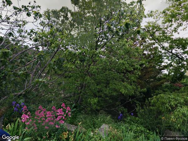 PLUSIEURS PARCELLES DE TERRE