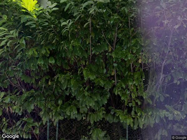 UNE  MAISON DE QUATRE PIÈCES SUR TERRAIN PLAT AVEC PISCINE