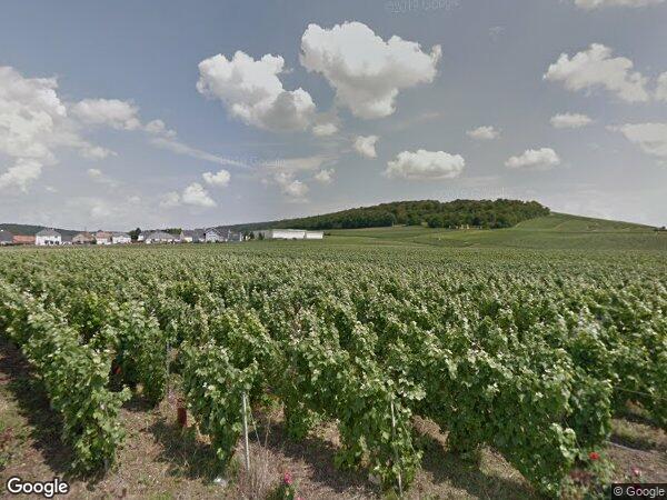  PARCELLES DE VIGNES