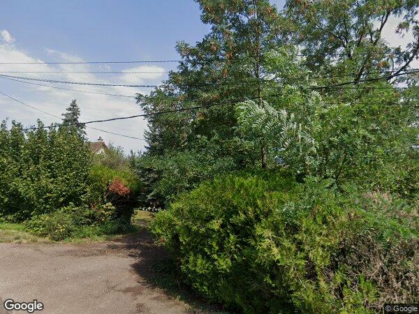 UN TERRAIN EN NATURE DE VIGNES