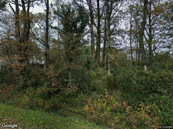 UNE PARCELLE DE TERRE