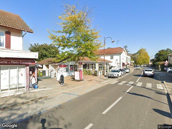 UNE PARCELLE DE TERRAIN EN NATURE DE PINS