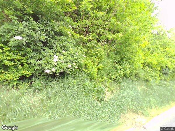 UN TERRAIN À BÂTIR ET UNE CAVE