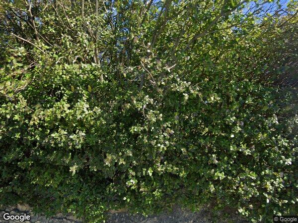 DES PARCELLES AGRICOLES