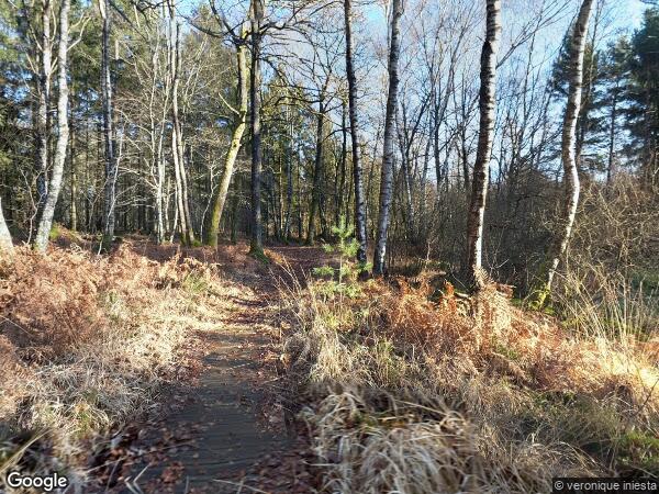 PLUSIEURS PARCELLES